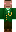 skin of a player