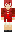 skin of a player