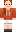 skin of a player
