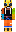 skin of a player