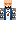 skin of a player