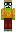 skin of a player