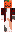 skin of a player