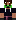 skin of a player