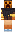 skin of a player