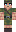 skin of a player