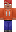 skin of a player