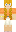 skin of a player