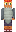 skin of a player