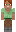 skin of a player