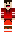 skin of a player