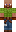 skin of a player