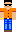 skin of a player