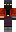 skin of a player
