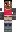 skin of a player