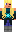 skin of a player