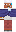 skin of a player
