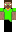 skin of a player