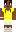 skin of a player