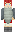 skin of a player