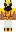 skin of a player