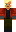 skin of a player