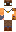 skin of a player
