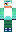 skin of a player