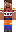 skin of a player