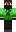 skin of a player