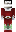 skin of a player
