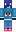 skin of a player