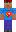 skin of a player