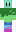 skin of a player