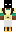 skin of a player
