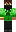 skin of a player