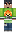 skin of a player