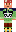 skin of a player