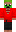 skin of a player