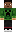 skin of a player