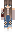 skin of a player