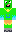 skin of a player