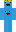 skin of a player
