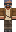 skin of a player