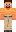 skin of a player