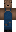 skin of a player