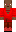 skin of a player