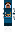 skin of a player