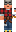 skin of a player