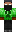 skin of a player